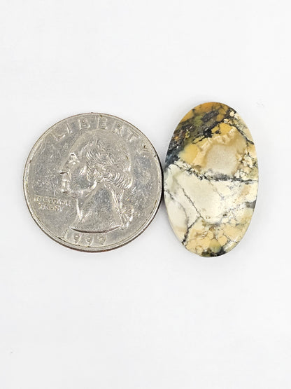 Dark Moon Variscite Cabochon