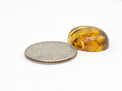 Amber cabochon | Artisan Cut Gemstone