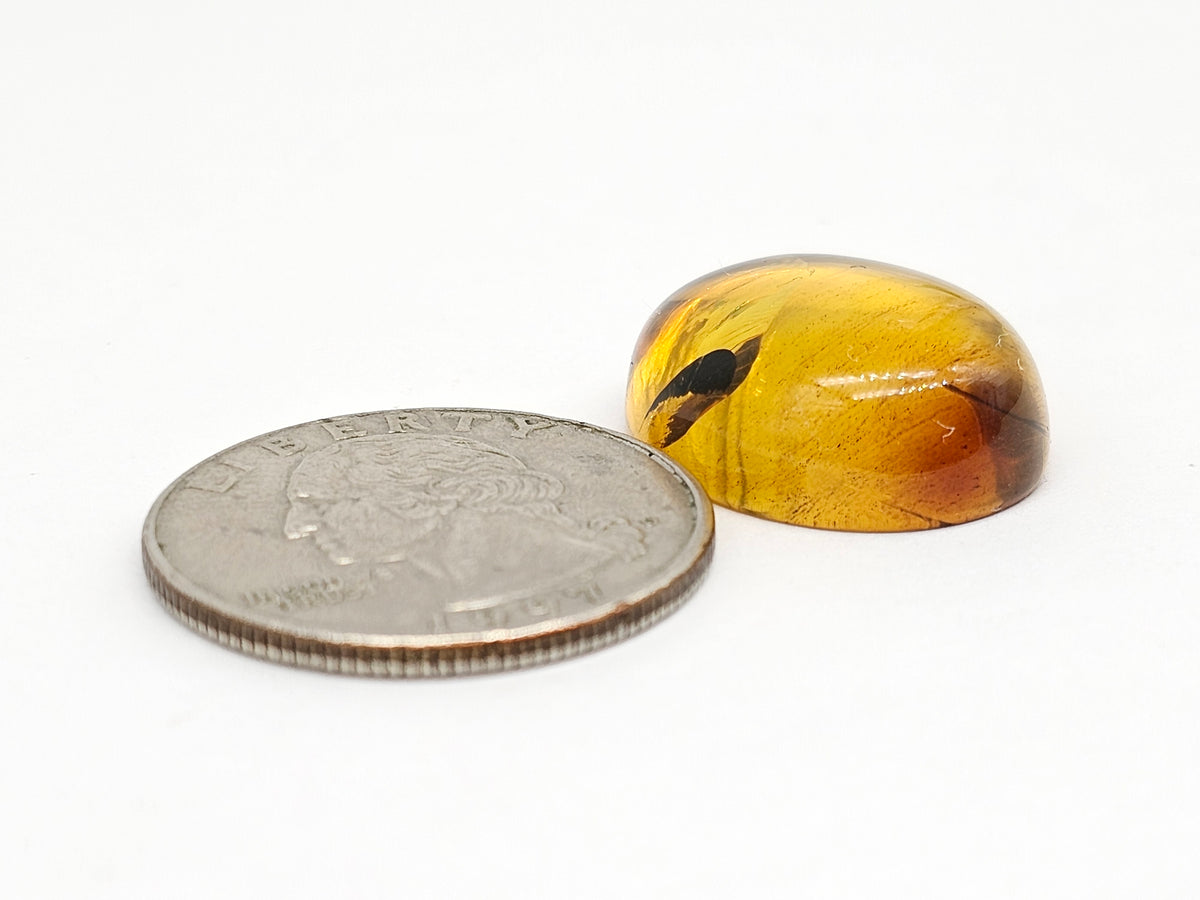 Amber cabochon | Artisan Cut Gemstone