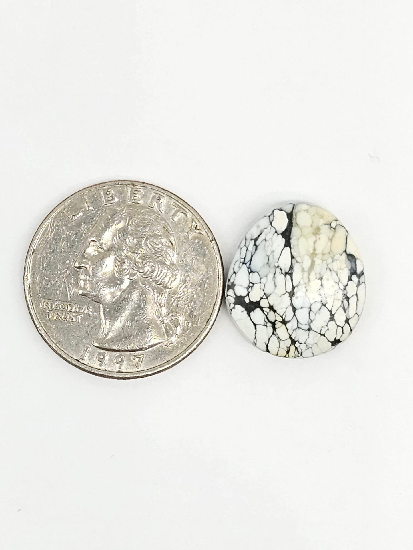 Dark Moon Variscite Cabochon