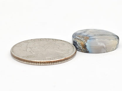 Dark Moon Variscite Cabochon