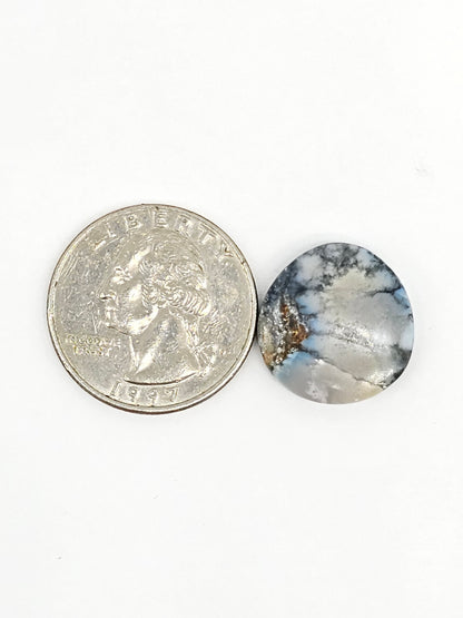 Dark Moon Variscite Cabochon