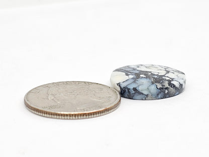 Dark Moon Variscite Cabochon