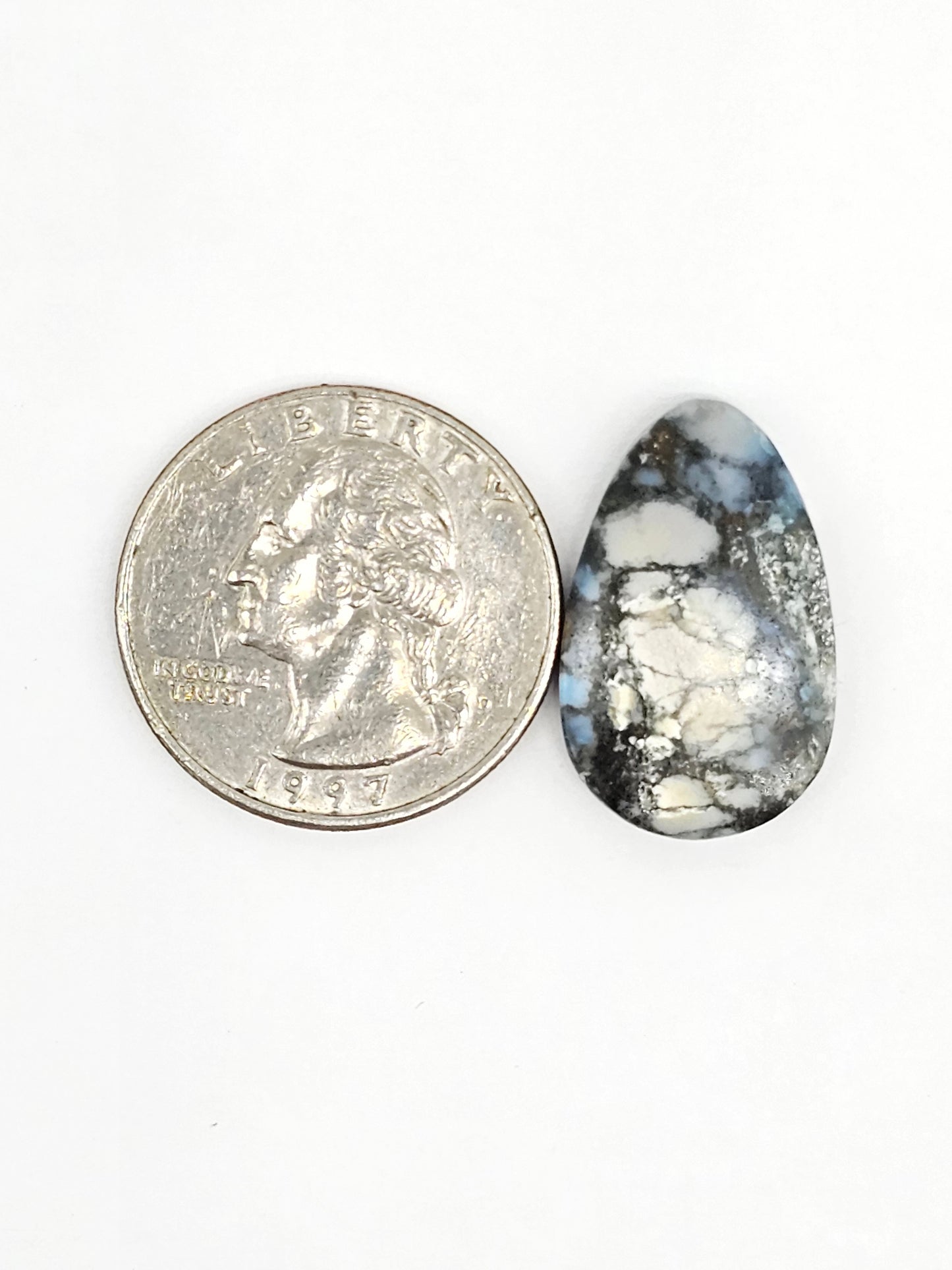 Dark Moon Variscite Cabochon