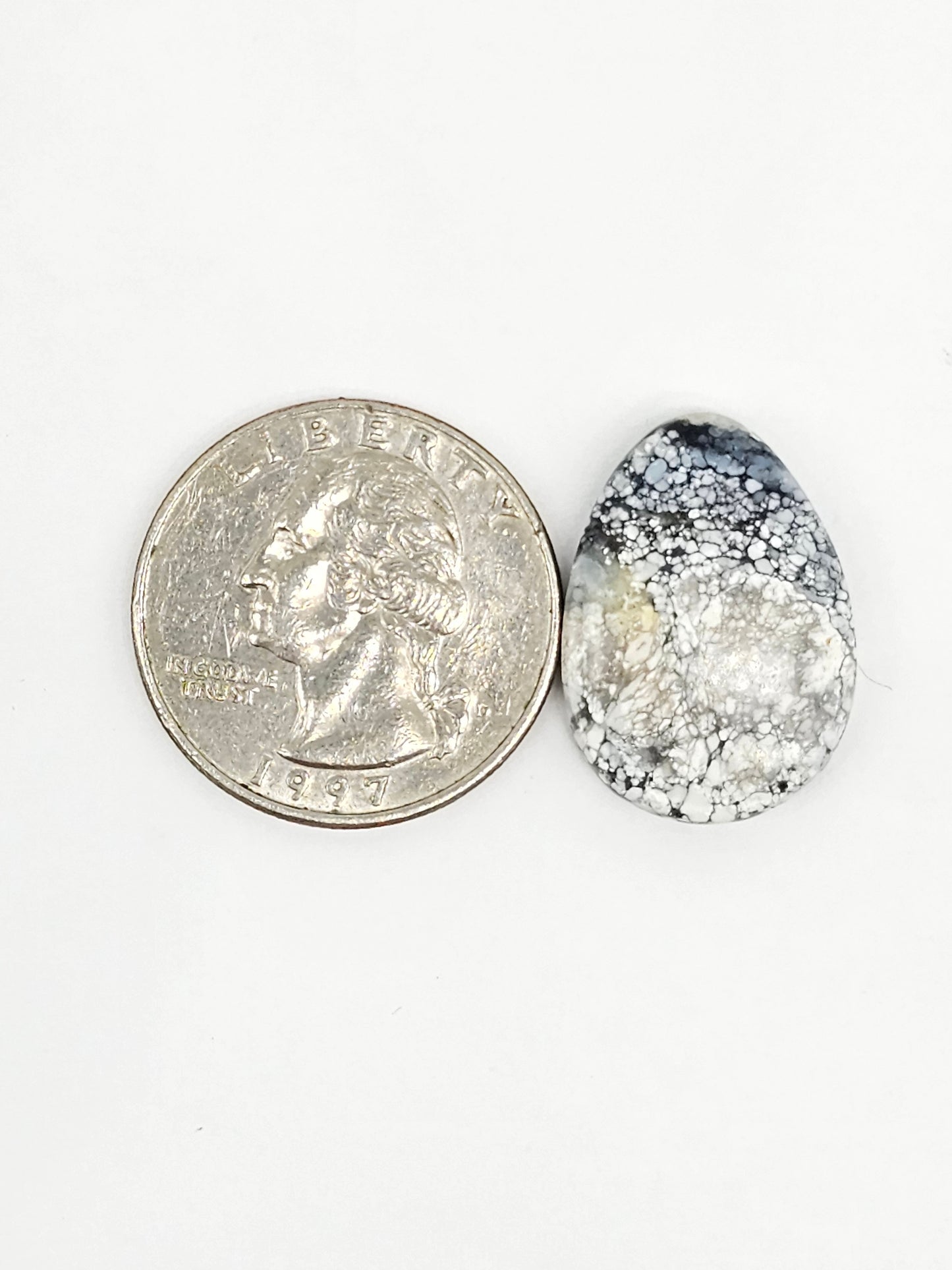 Dark Moon Variscite Cabochon