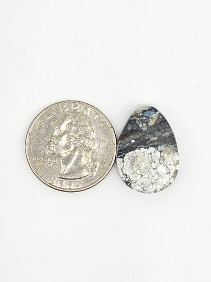 Dark Moon Variscite Cabochon