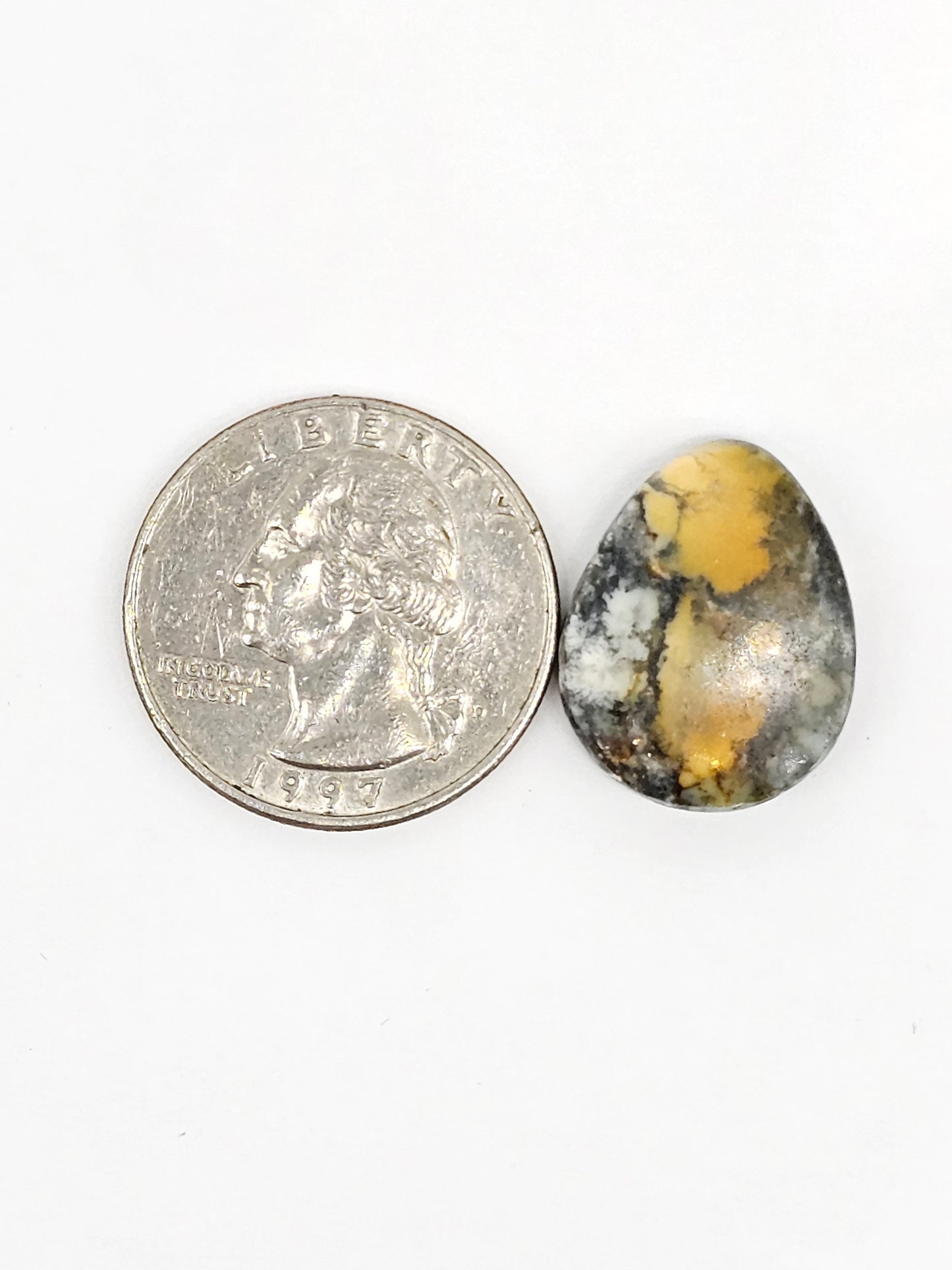 Dark Moon Variscite Cabochon