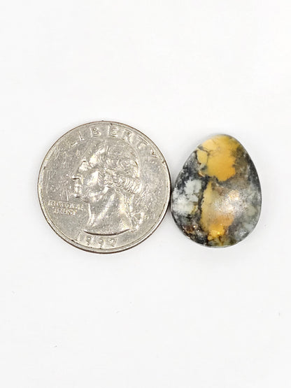 Dark Moon Variscite Cabochon