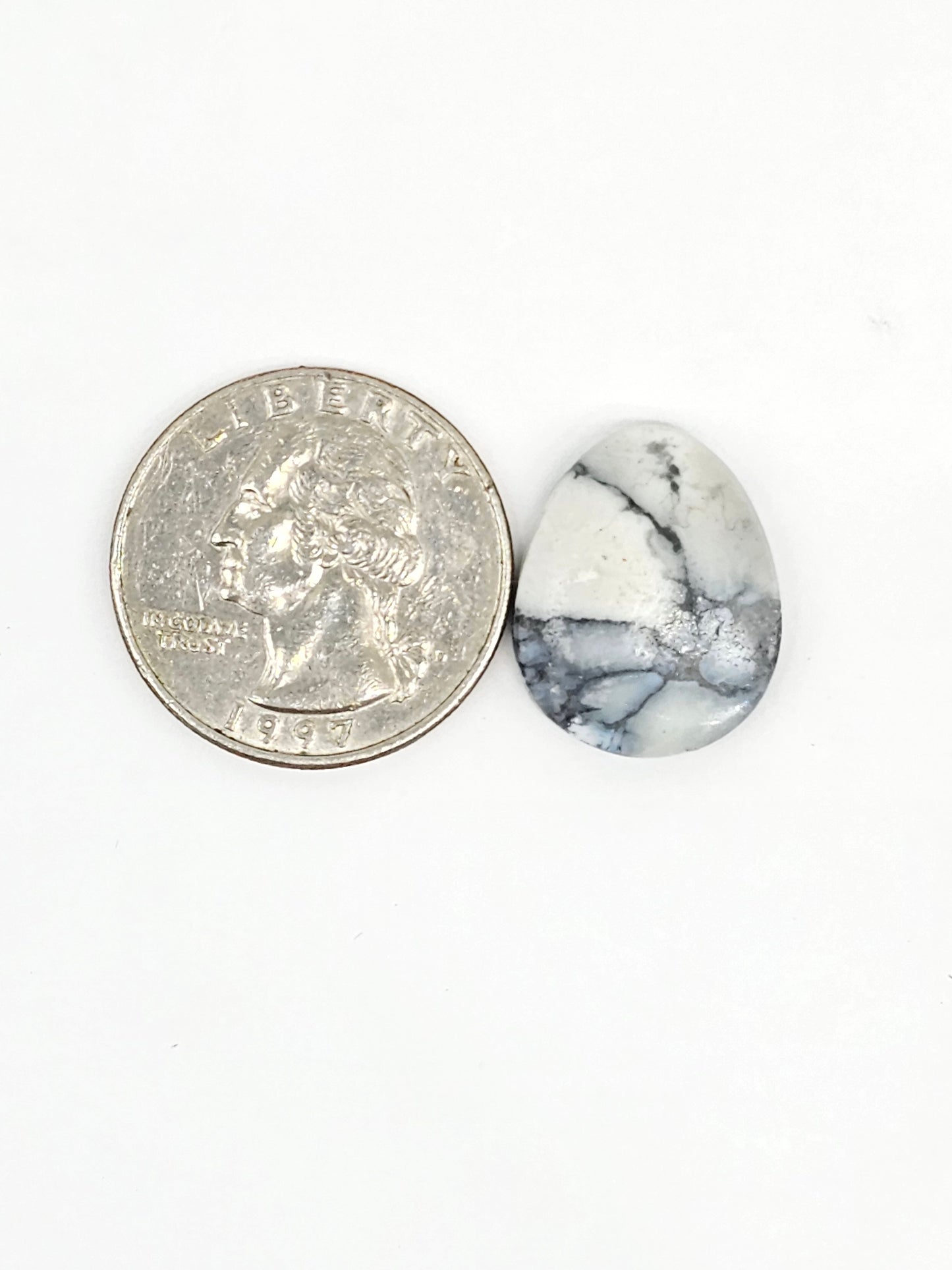 Dark Moon Variscite Cabochon