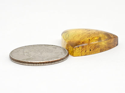 Amber cabochon | Artisan Cut Gemstone