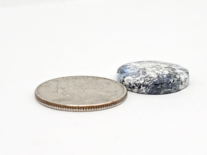 Dark Moon Variscite Cabochon
