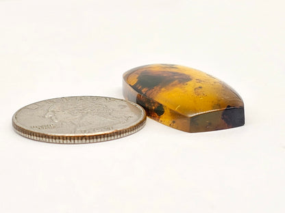 Amber cabochon | Artisan Cut Gemstone