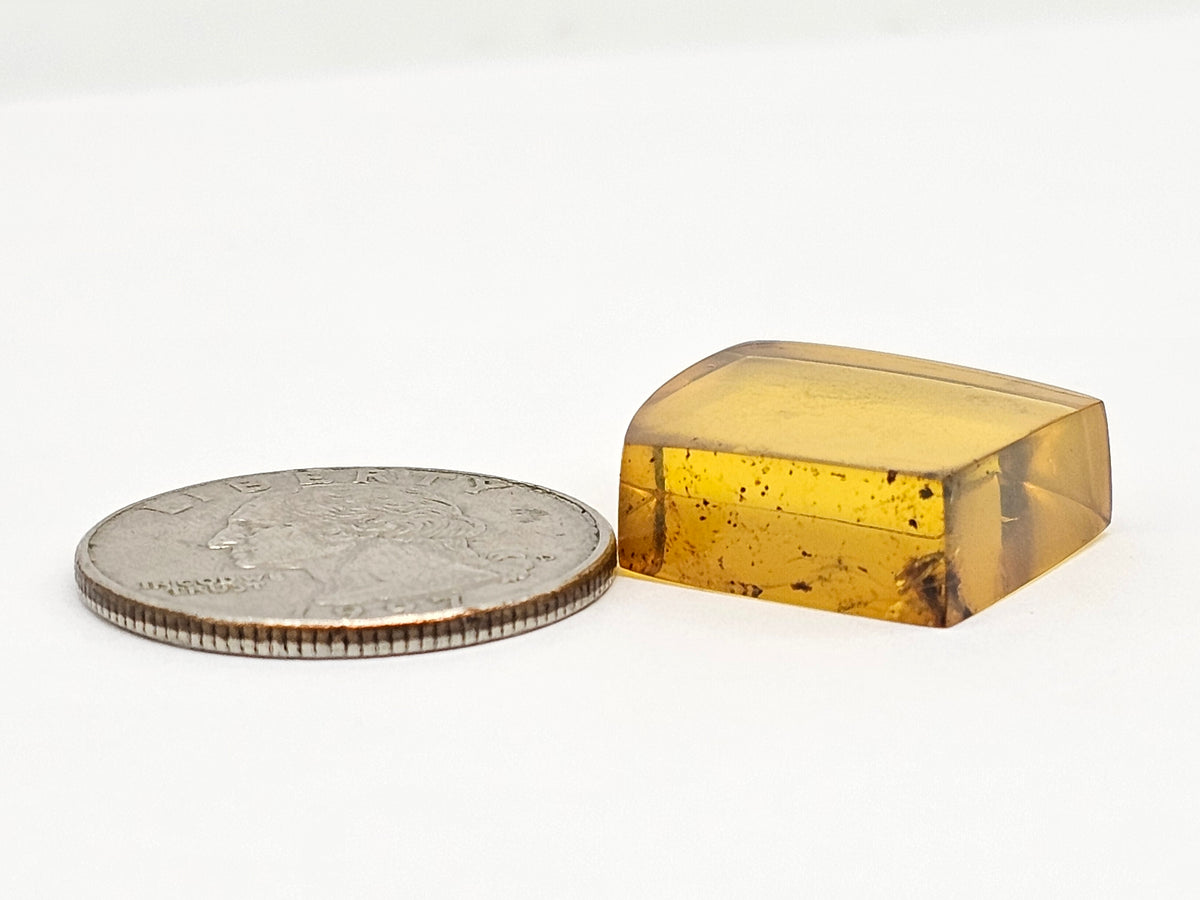 Amber cabochon | Artisan Cut Gemstone