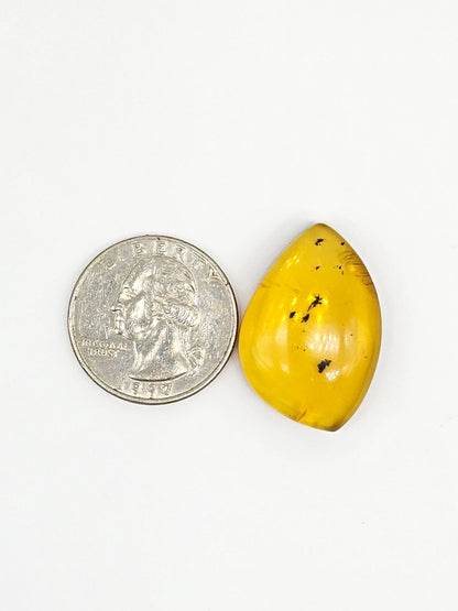 Amber cabochon | Artisan Cut Gemstone
