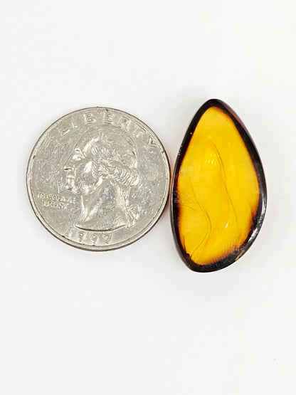 Amber cabochon | Artisan Cut Gemstone