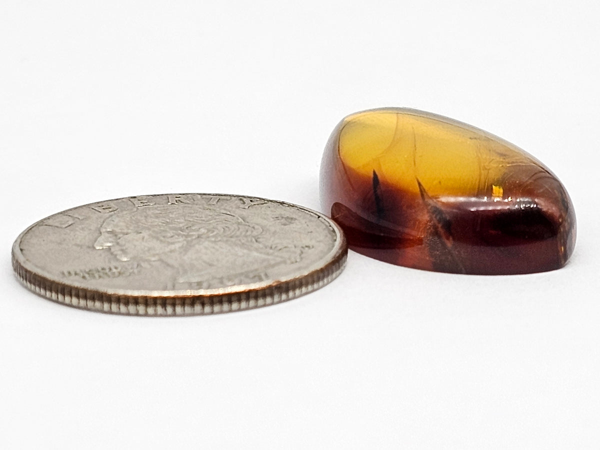 Amber cabochon | Artisan Cut Gemstone