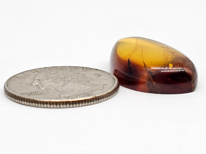Amber cabochon | Artisan Cut Gemstone