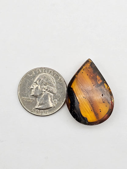 Amber authentic cabochon large