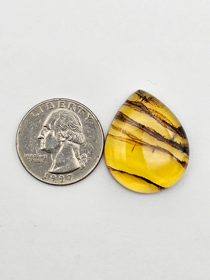 Amber authentic cabochon large