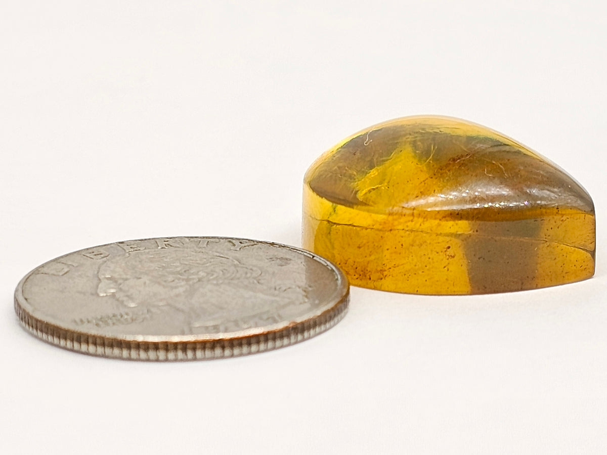 Amber cabochon | Artisan Cut Gemstone