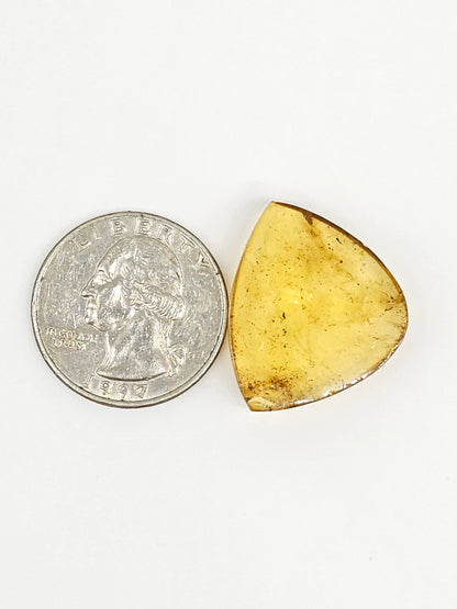 Amber cabochon | Artisan Cut Gemstone