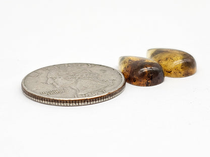 Amber Teardrop Cabochon Pair