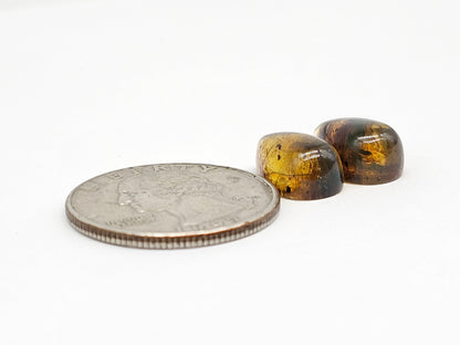 Amber Teardrop Cabochon Pair