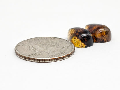 Amber Teardrop Cabochon Pair