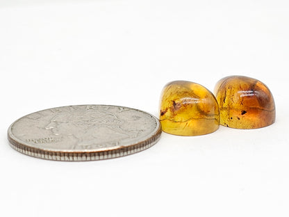 Amber Teardrop Cabochon Pair