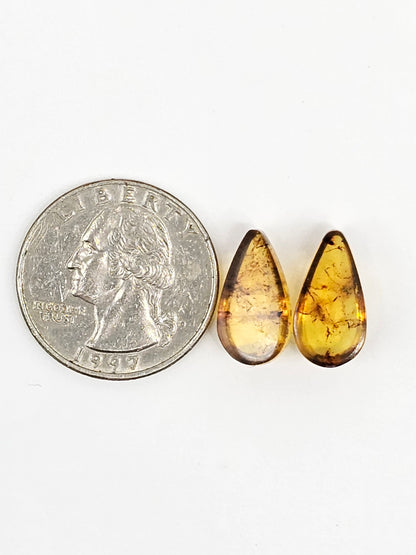 Amber Teardrop Cabochon Pair