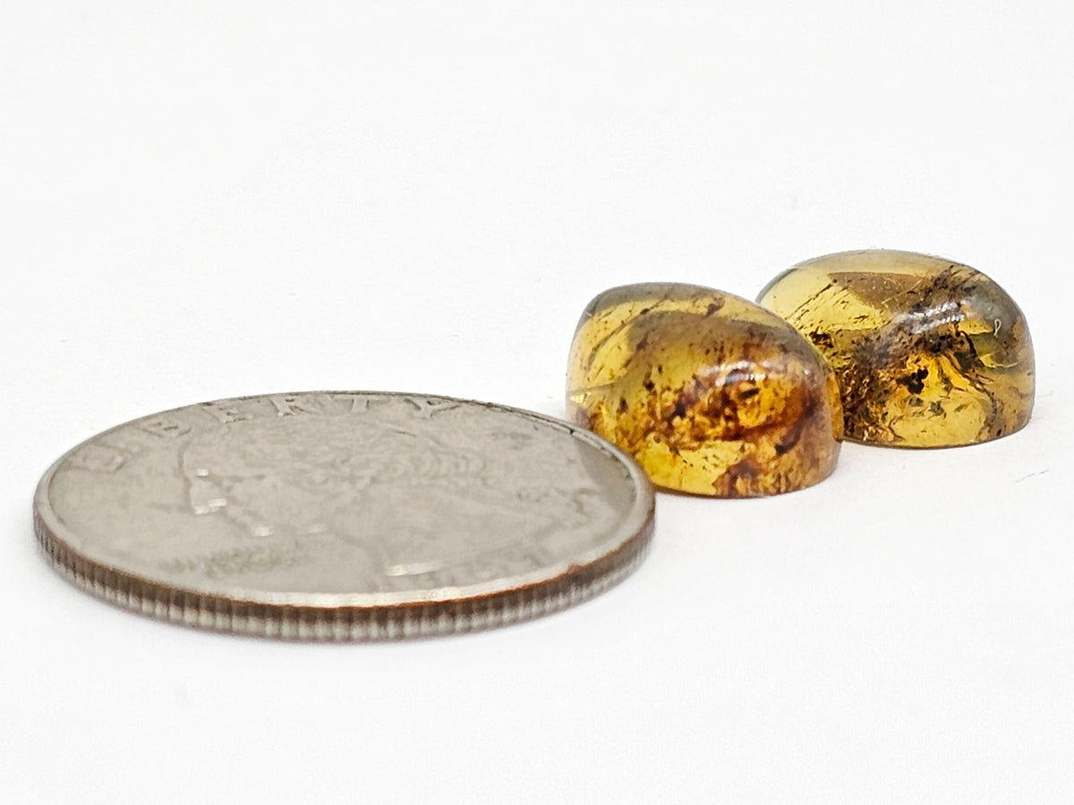 Amber Teardrop Cabochon Pair