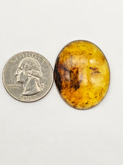 Amber authentic cabochon large