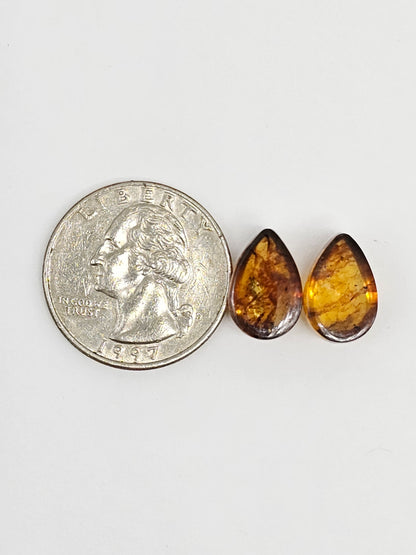 Amber Teardrop Cabochon Pair