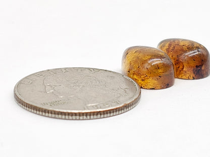 Amber Teardrop Cabochon Pair