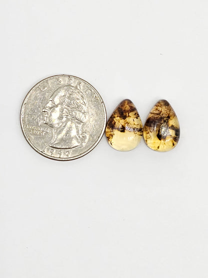 Amber Teardrop Cabochon Pair