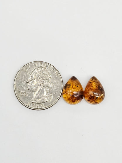 Amber Teardrop Cabochon Pair