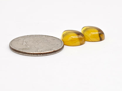 Amber Teardrop Cabochon Pair