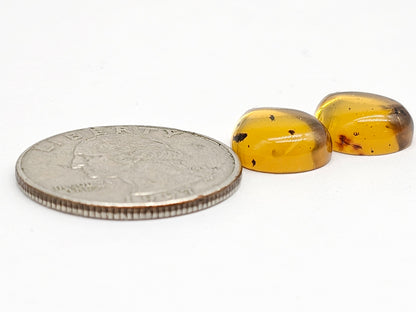 Amber Teardrop Cabochon Pair