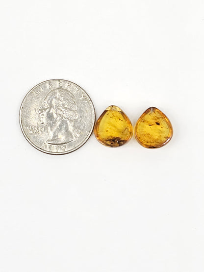 Amber Teardrop Cabochon Pair