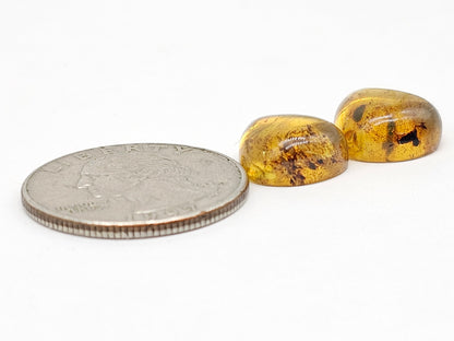 Amber Teardrop Cabochon Pair