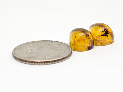 Amber Teardrop Cabochon Pair