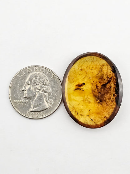 Amber authentic cabochon large