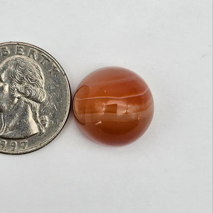 Carnelian Agate Cabochon