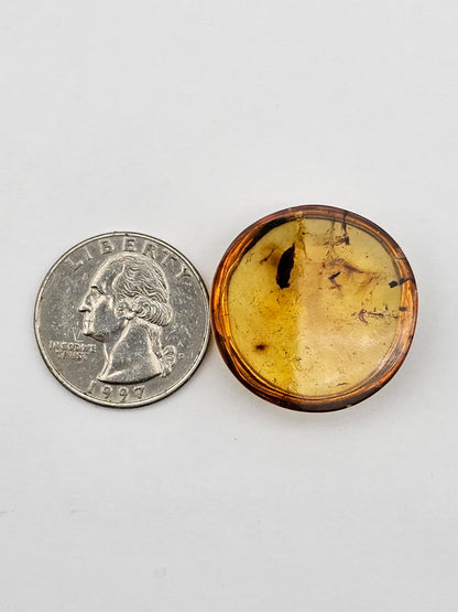Amber authentic cabochon large