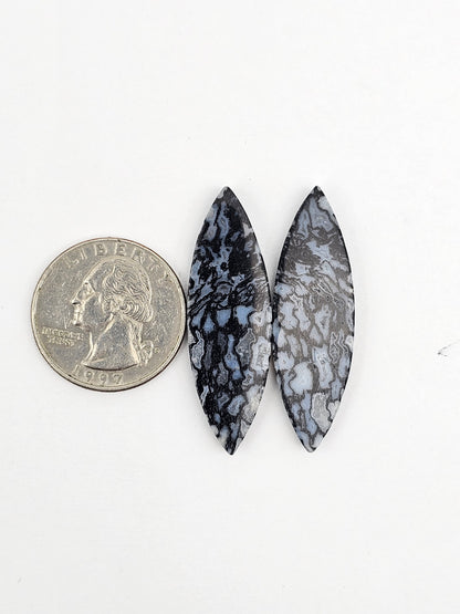 Fossilized dinosaur bone pair