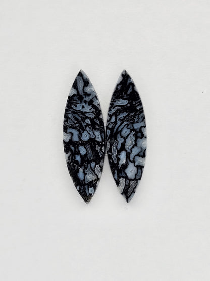 Fossilized dinosaur bone pair