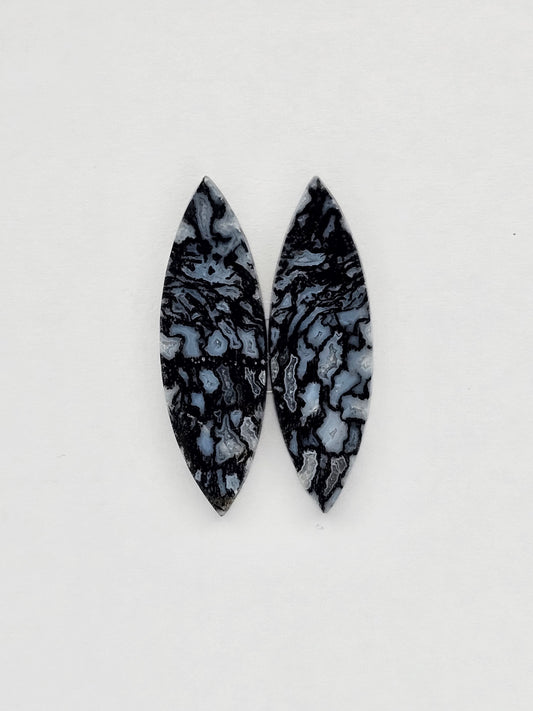 Fossilized dinosaur bone pair