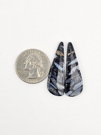 Fossilized dinosaur bone pair