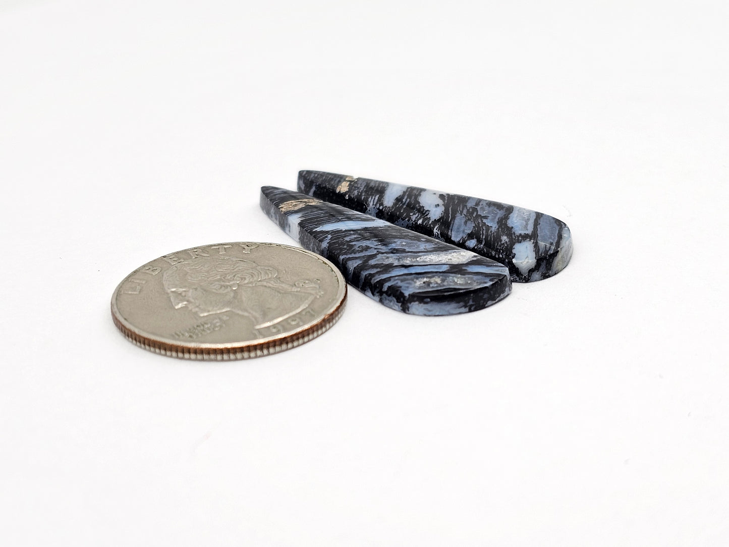 Fossilized dinosaur bone pair