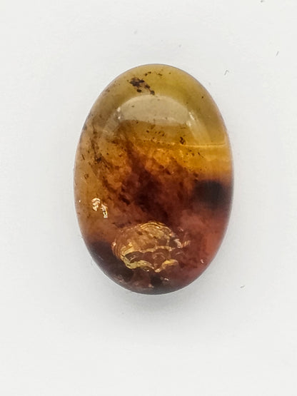 Amber authentic cabochon large